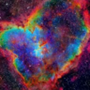 Meet your Posher, Cody